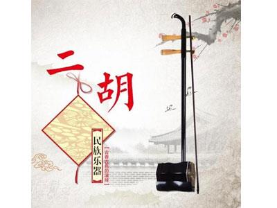 招聘南通二胡家教老师